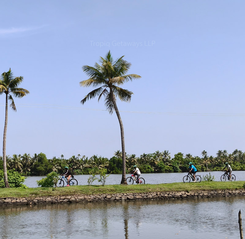 Tropiq Getaways