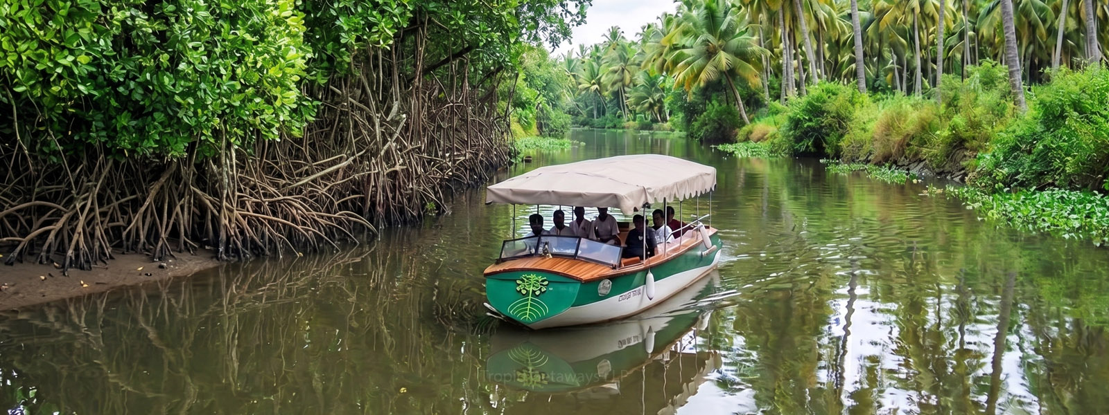 Kochi Electric Boat Cruise