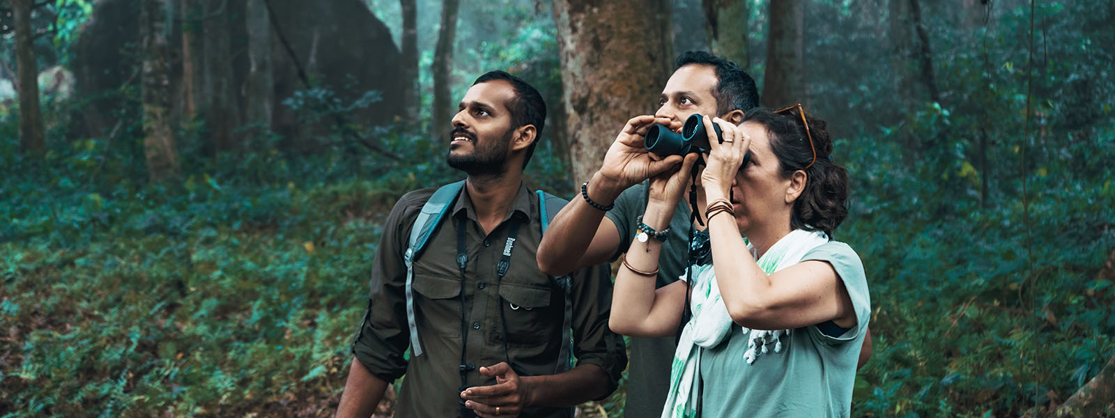 Thattekkad Rainforest Walks